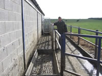 galvanised race system and non-slip footbath