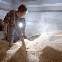 In this image, a strong light beam reveals the airborne dust that is created by this worker shovelling grain.