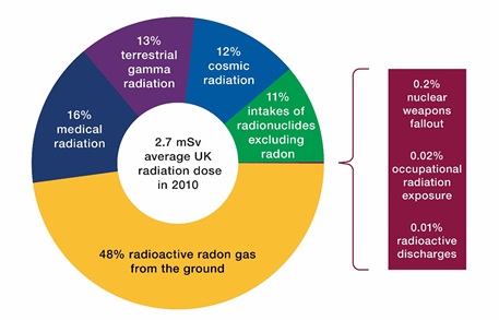 Pie chart shows exposure via radioactive radon gas from the ground as the highest at 48%