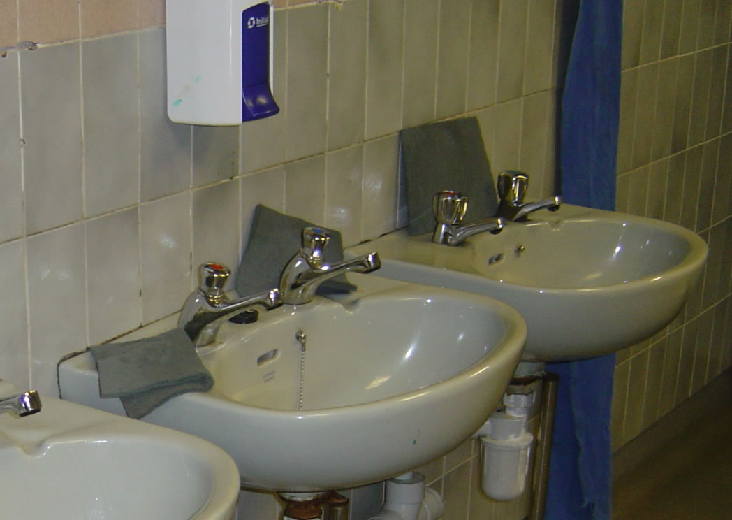 Sinks with abrasive pads